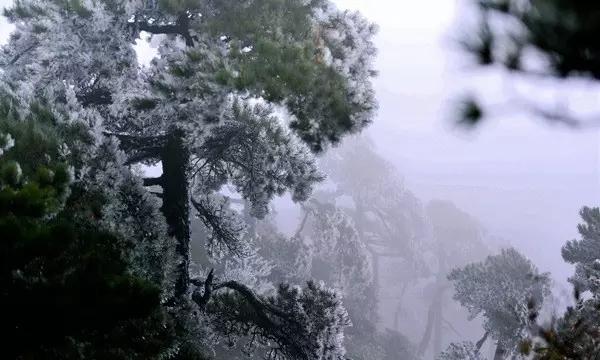 救援受困的小偷